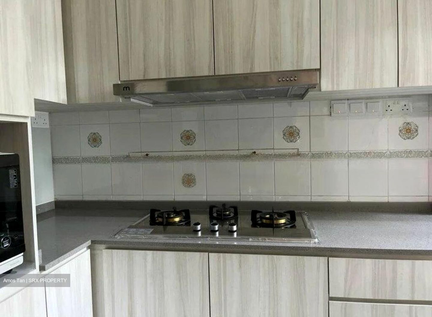 Symphony Heights (D21), Condominium #458567281